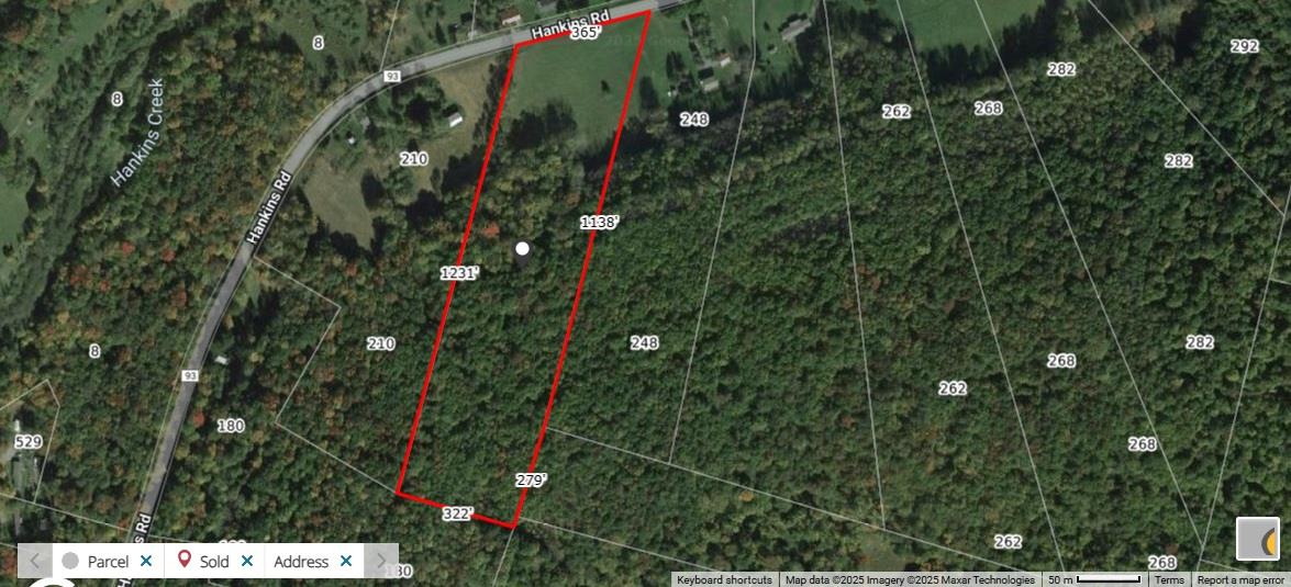 #12 photo, Lot 7.4 Hankins Road, 纽约州 Hankins , NY 12736