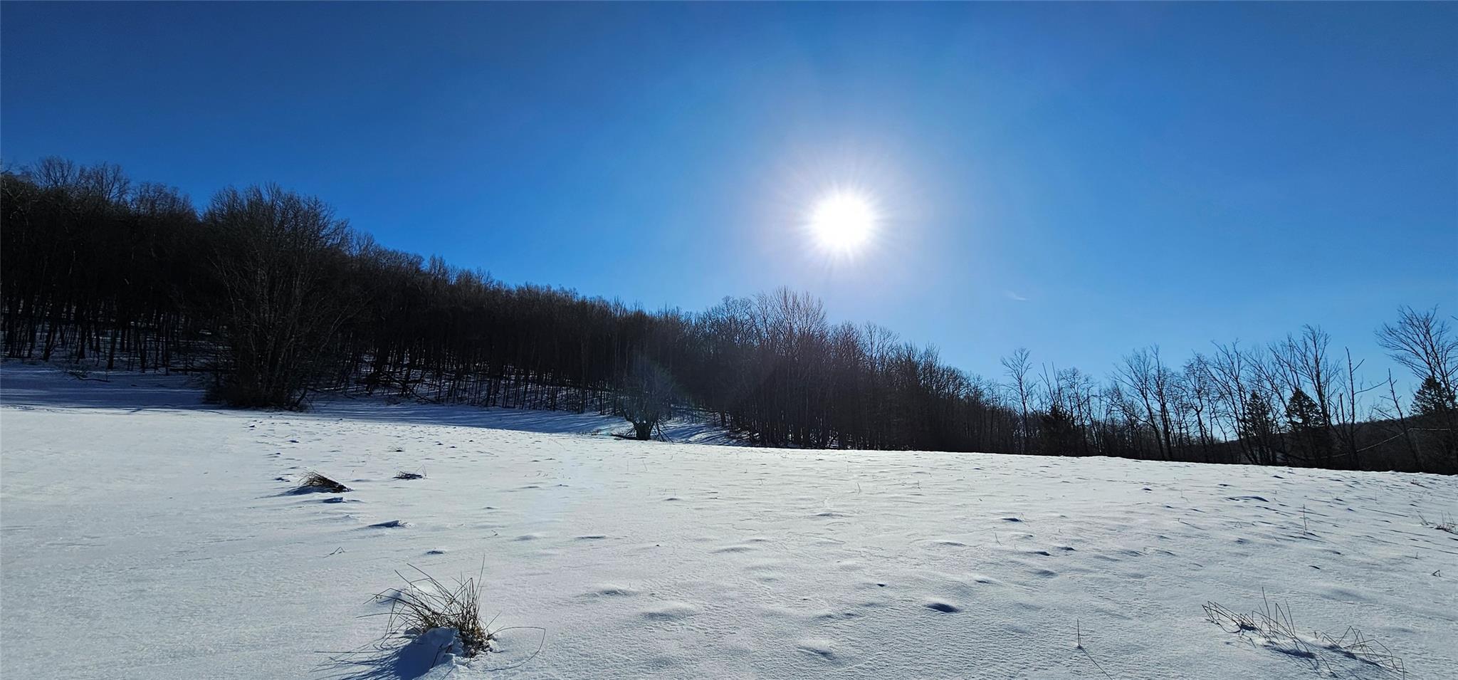 #4 photo, Lot 7.4 Hankins Road, 纽约州 Hankins , NY 12736