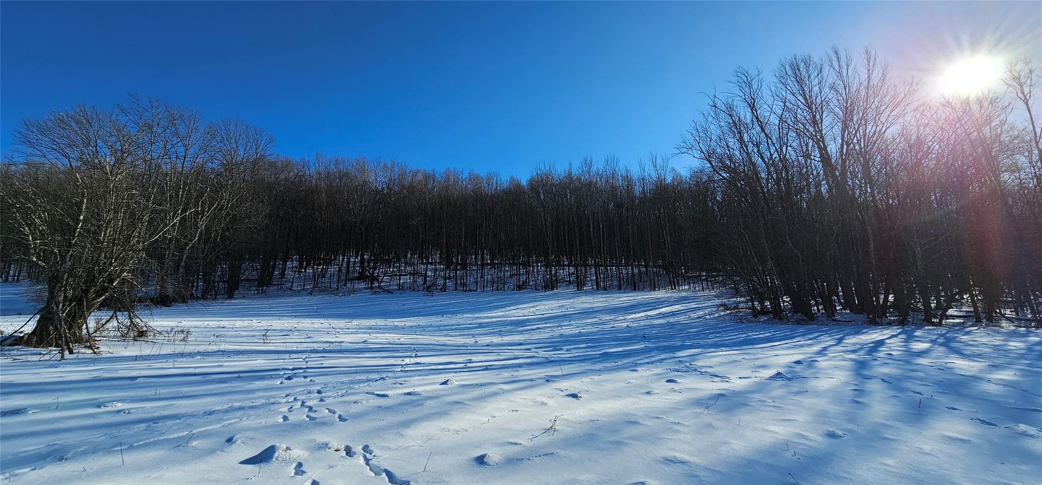 #8 photo, Lot 7.4 Hankins Road, 纽约州 Hankins , NY 12736