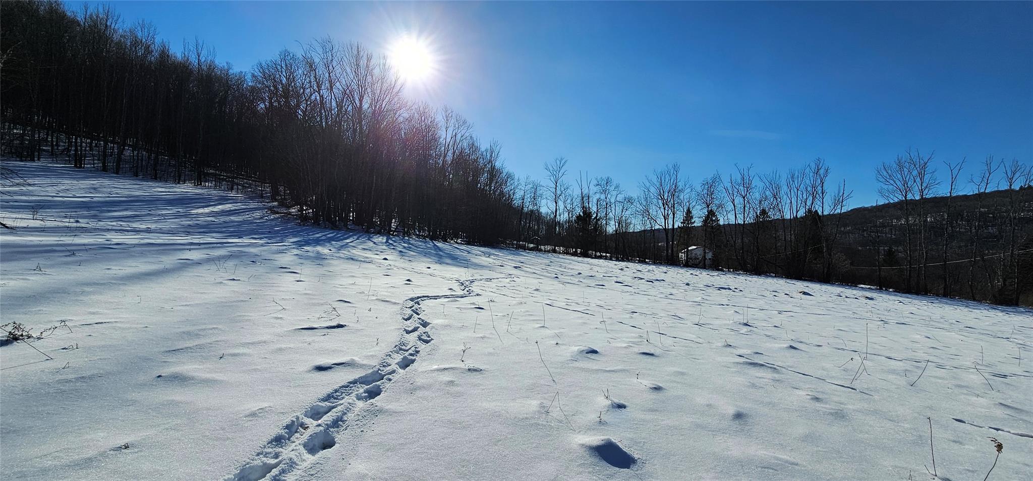 #9 photo, Lot 7.4 Hankins Road, 纽约州 Hankins , NY 12736