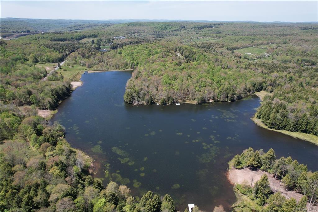 #12 photo, 172 Eagles Ridge Way, Parksville , NY 12768