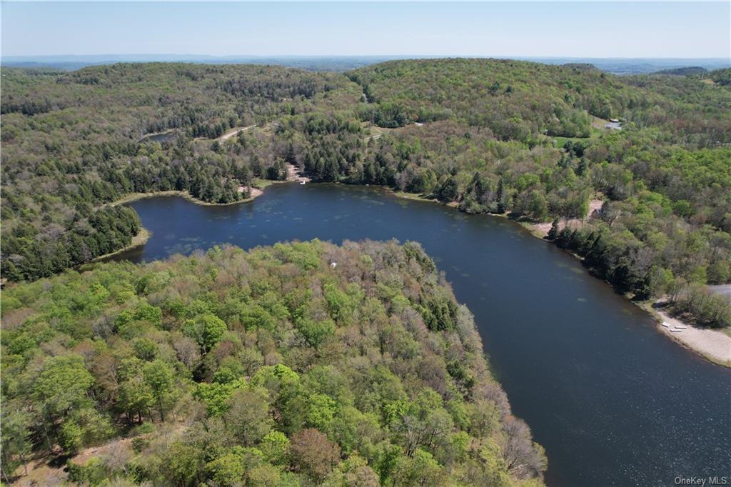 #13 photo, 172 Eagles Ridge Way, Parksville , NY 12768