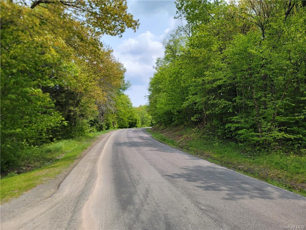 #16 photo, 172 Eagles Ridge Way, Parksville , NY 12768