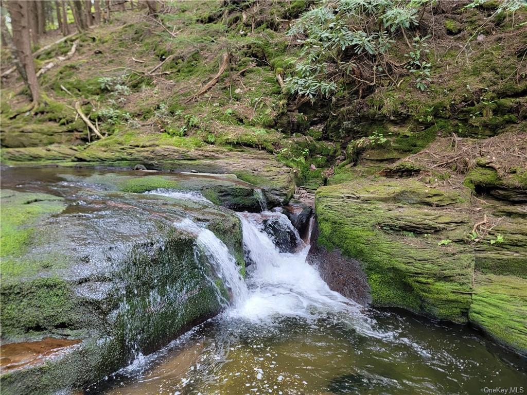 #2 photo, 172 Eagles Ridge Way, Parksville , NY 12768