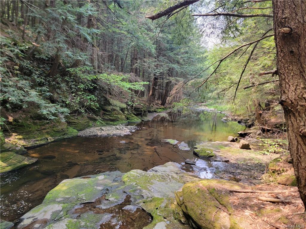 #4 photo, 172 Eagles Ridge Way, Parksville , NY 12768