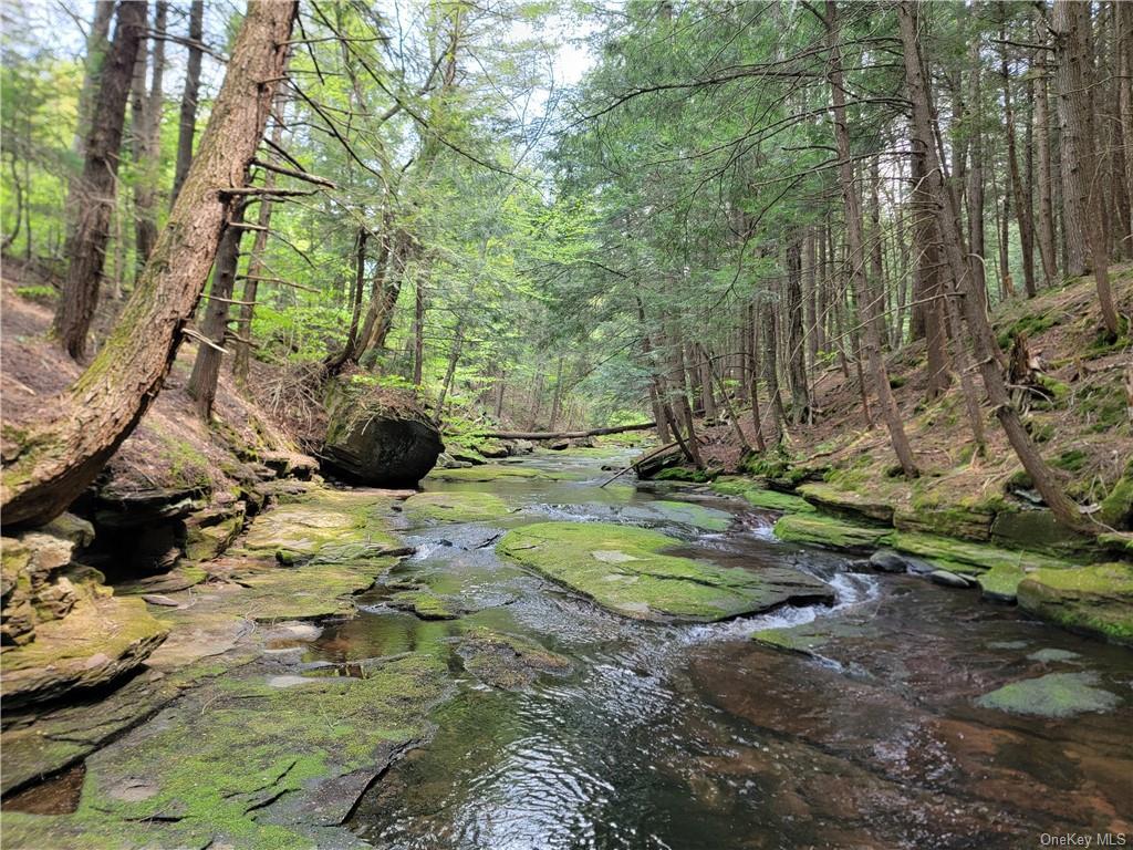 #6 photo, 172 Eagles Ridge Way, Parksville , NY 12768