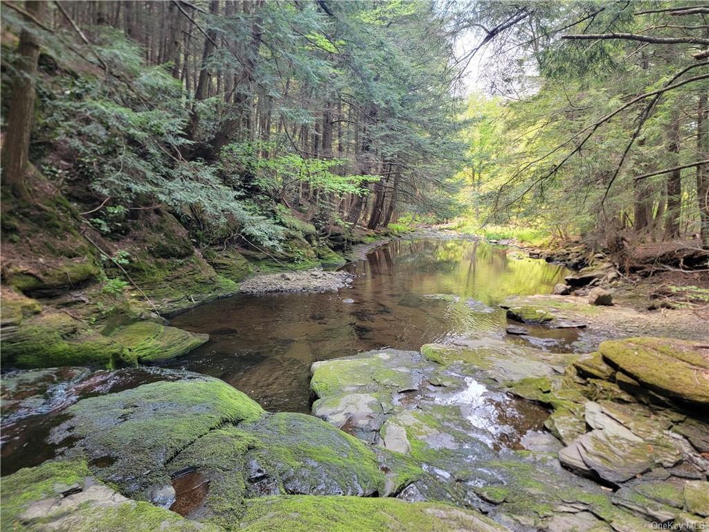 #7 photo, 172 Eagles Ridge Way, Parksville , NY 12768