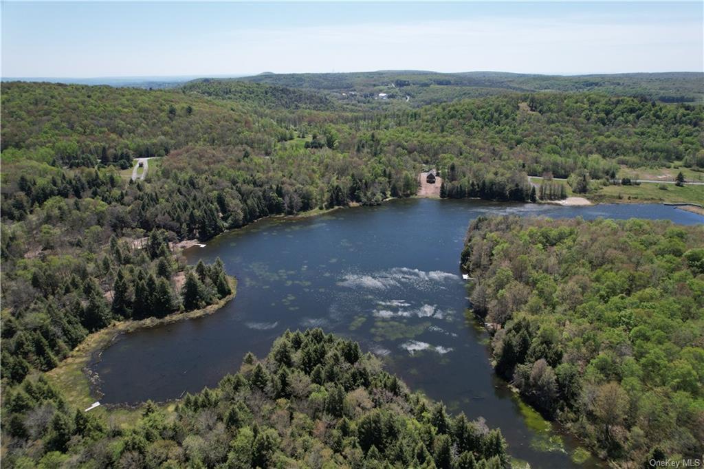 #9 photo, 172 Eagles Ridge Way, Parksville , NY 12768