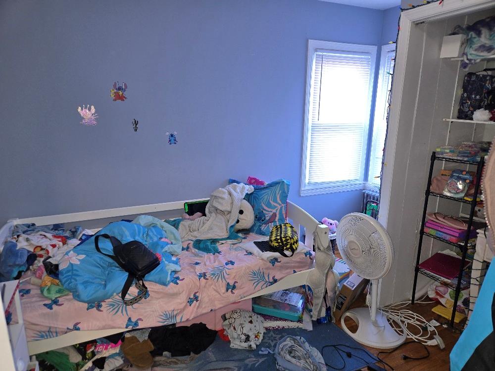 #11 photo, 12 Carson Street, ナッソー郡 Bethpage , NY 11714