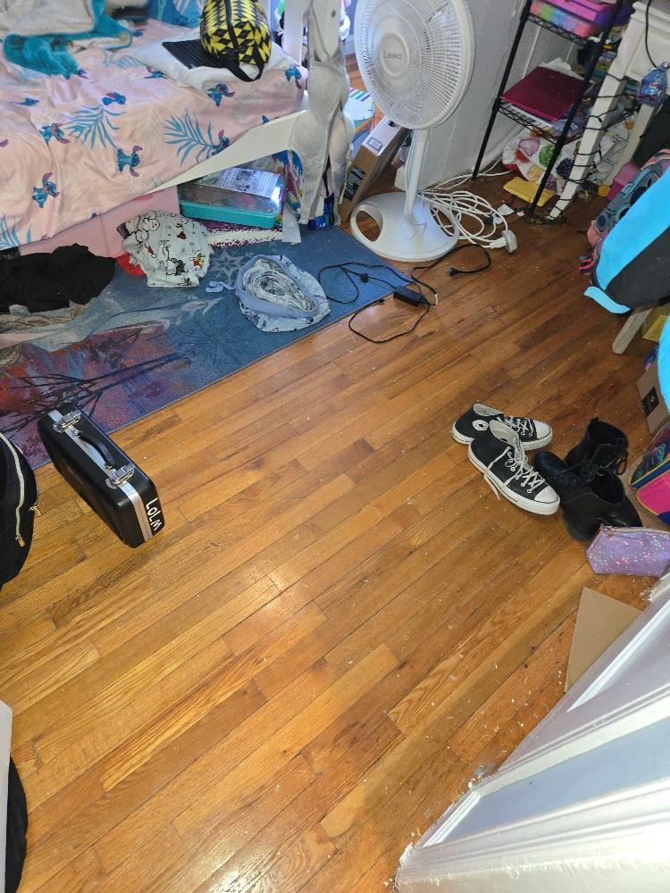 #12 photo, 12 Carson Street, ナッソー郡 Bethpage , NY 11714