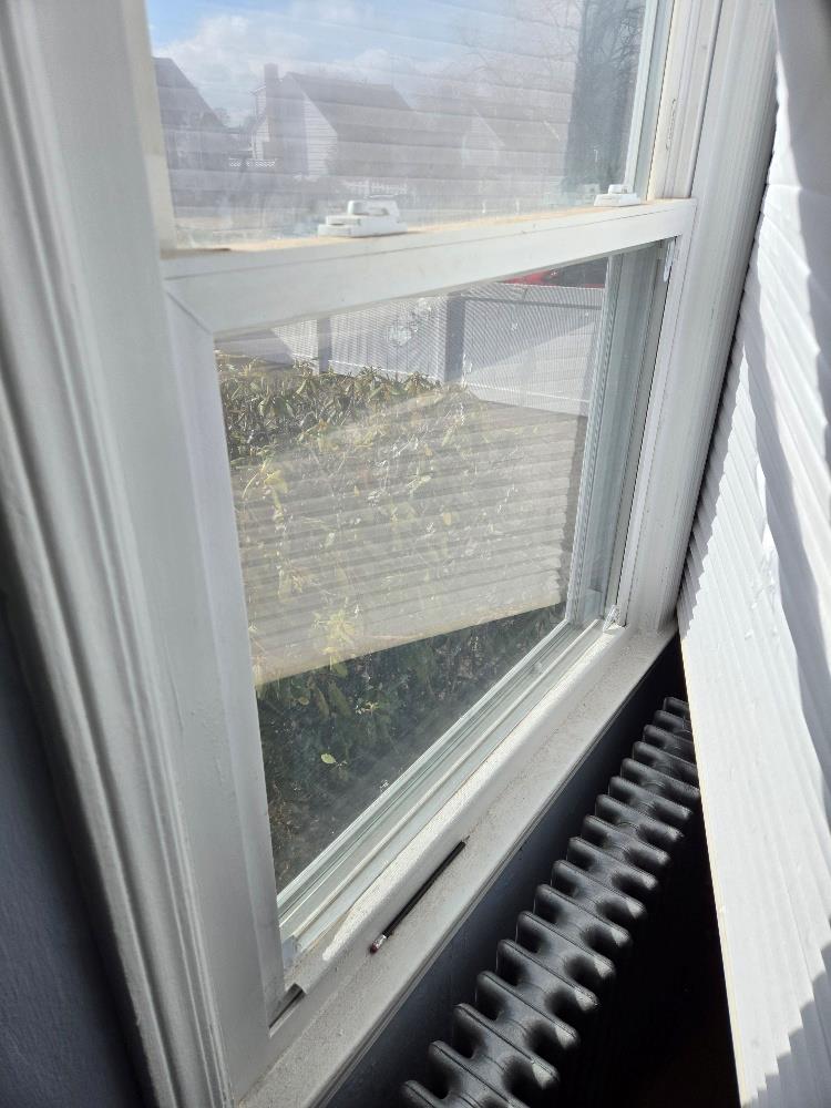 #14 photo, 12 Carson Street, ナッソー郡 Bethpage , NY 11714