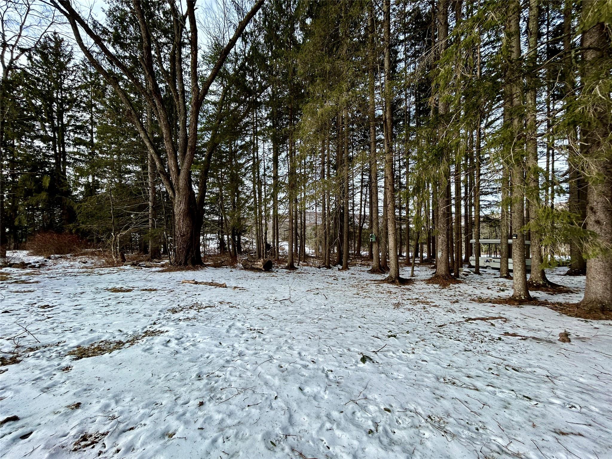 #8 photo, 359 County Road 95, Fremont , NY 12736