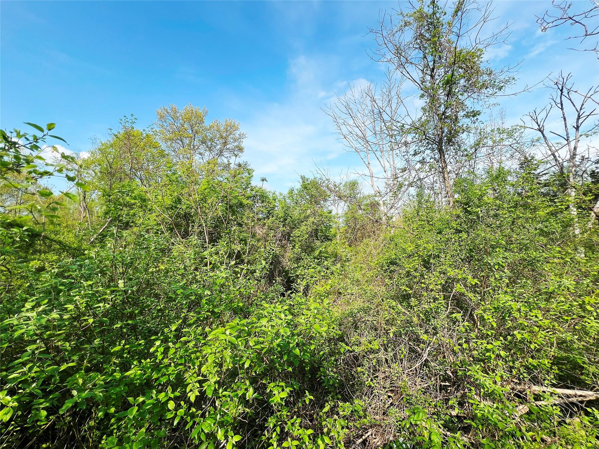 #5 photo, 160 Tommy Trail, Coxsackie , NY 12051