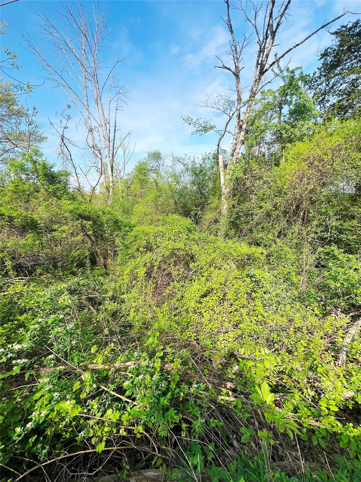 #6 photo, 160 Tommy Trail, Coxsackie , NY 12051