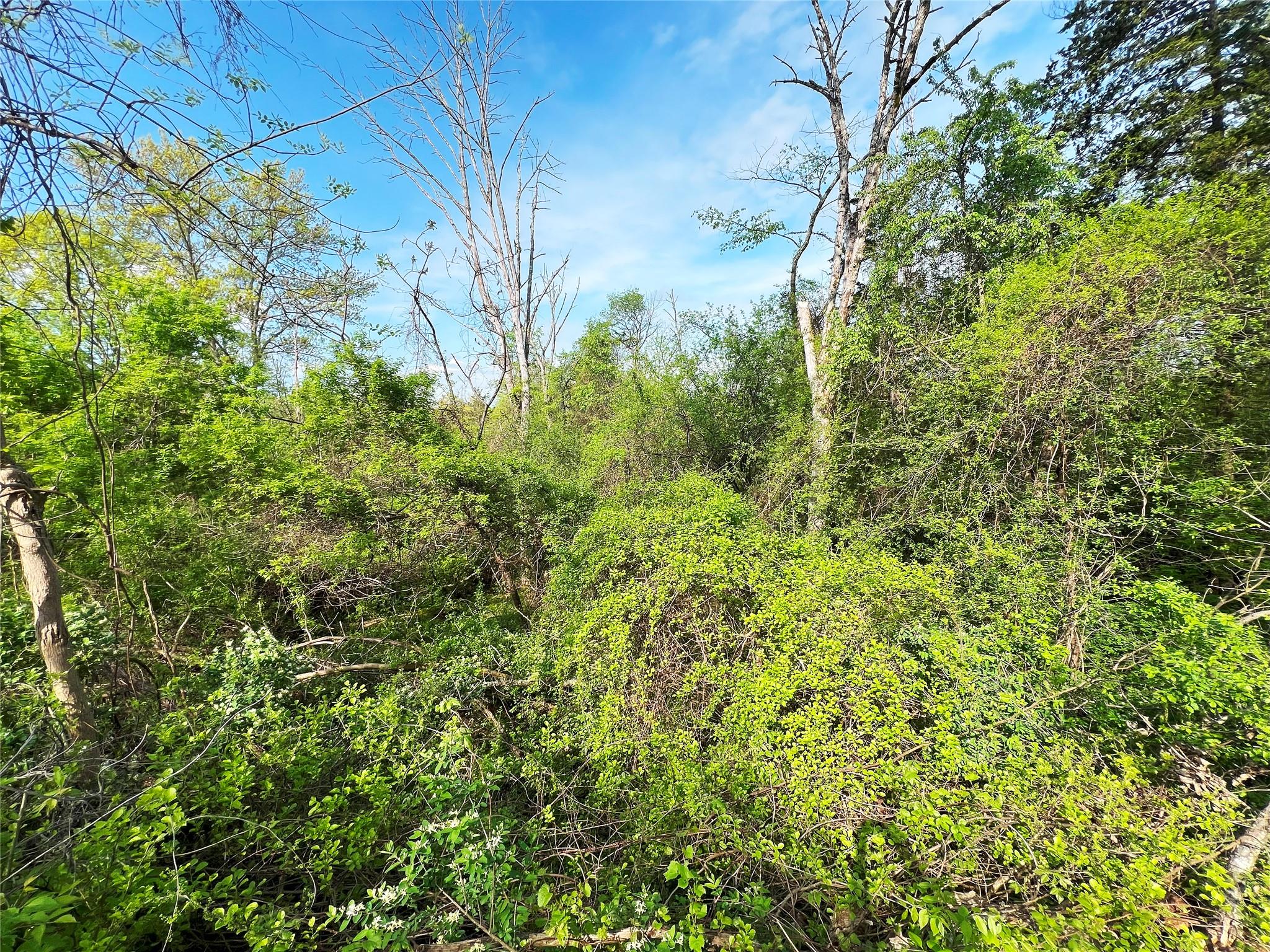 #7 photo, 160 Tommy Trail, Coxsackie , NY 12051