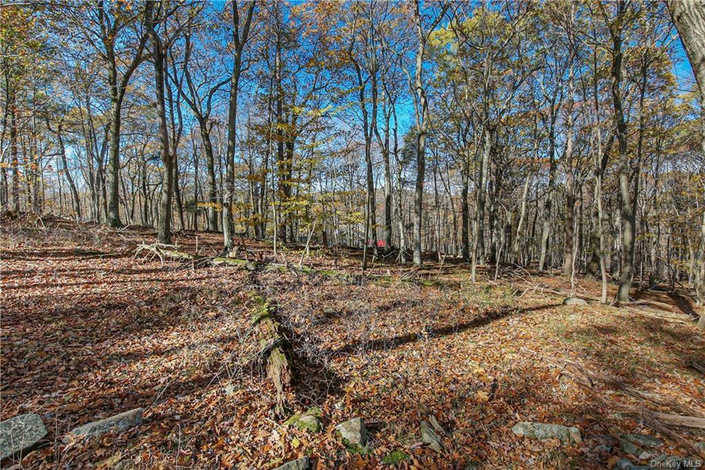 #5 photo, 31 Sarles Street, Armonk , NY 10504