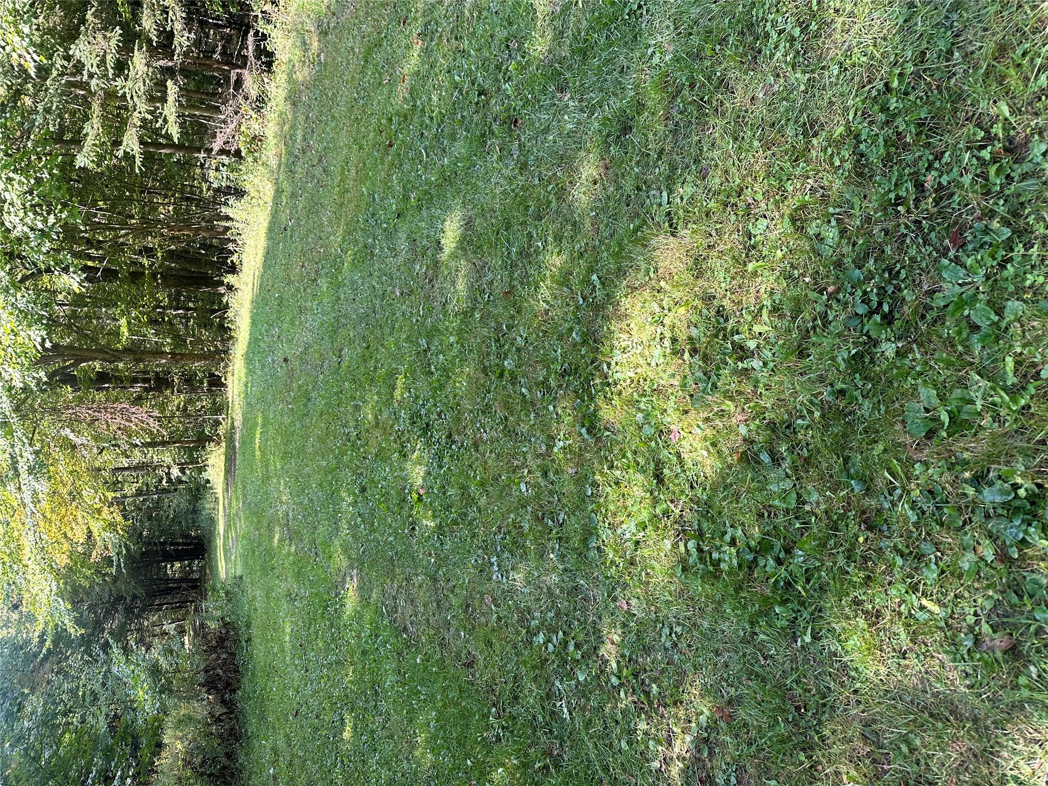 #7 photo, Todd Mt, Arkville , NY 