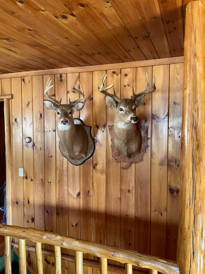 #16 photo, 5016 Nys Rte #30, Indian Lake , NY 12842