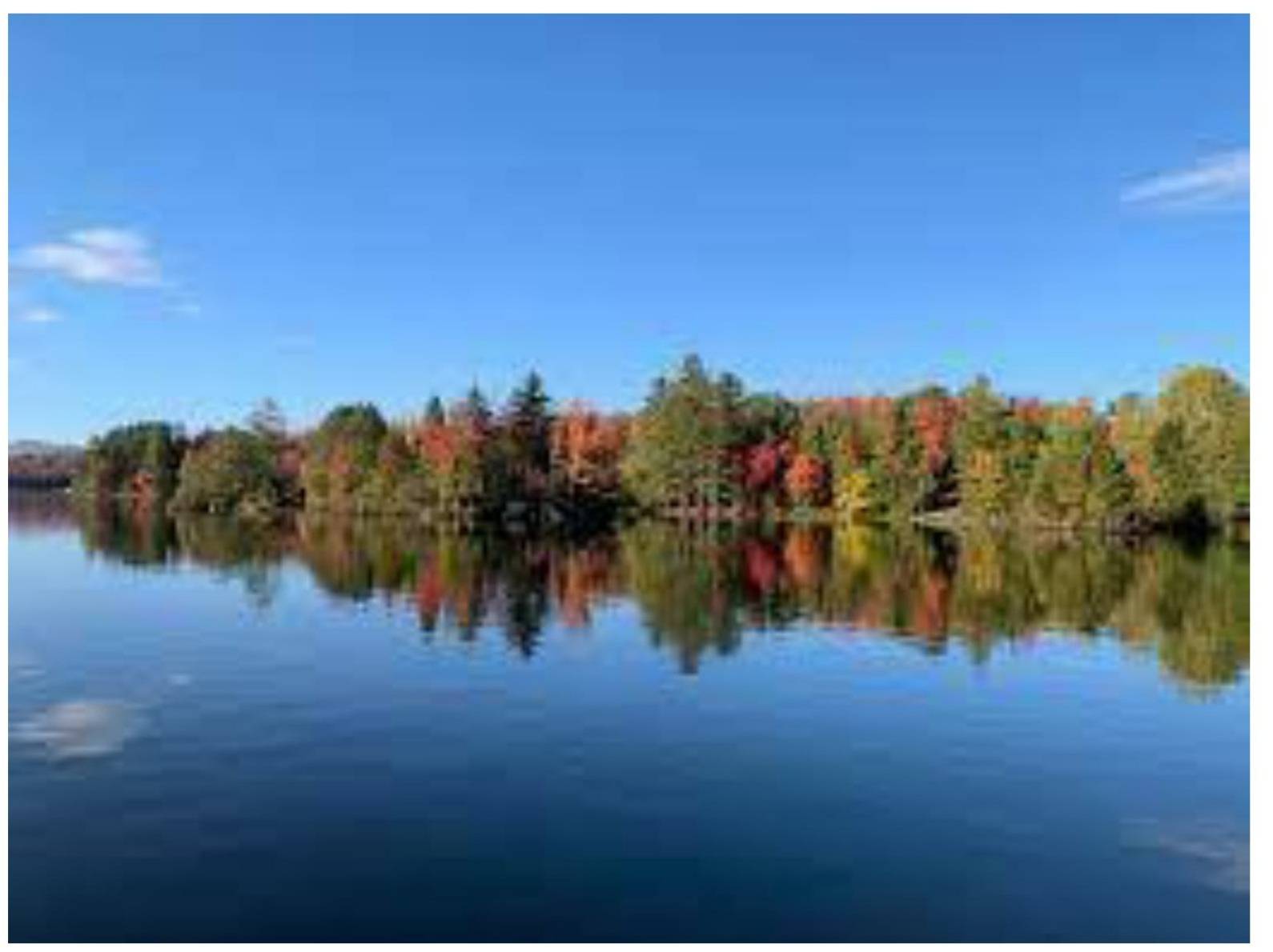 #37 photo, 5016 Nys Rte #30, Indian Lake , NY 12842