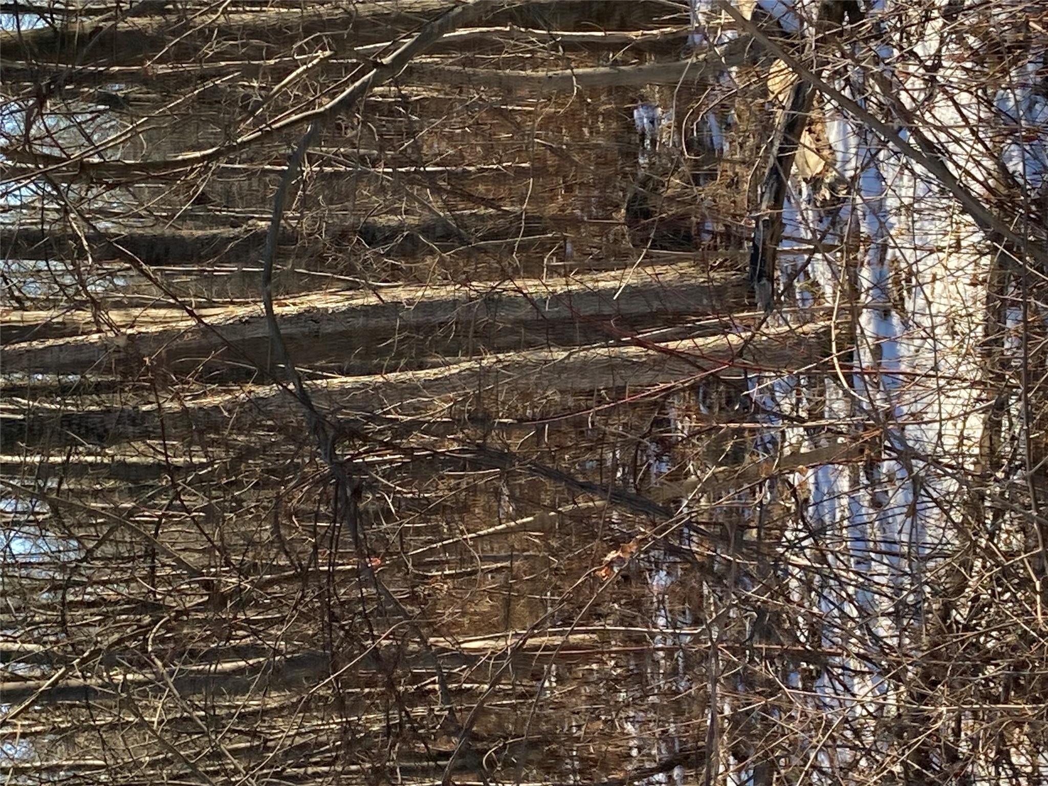 #10 photo, 2190 State Route 208, Montgomery , NY 