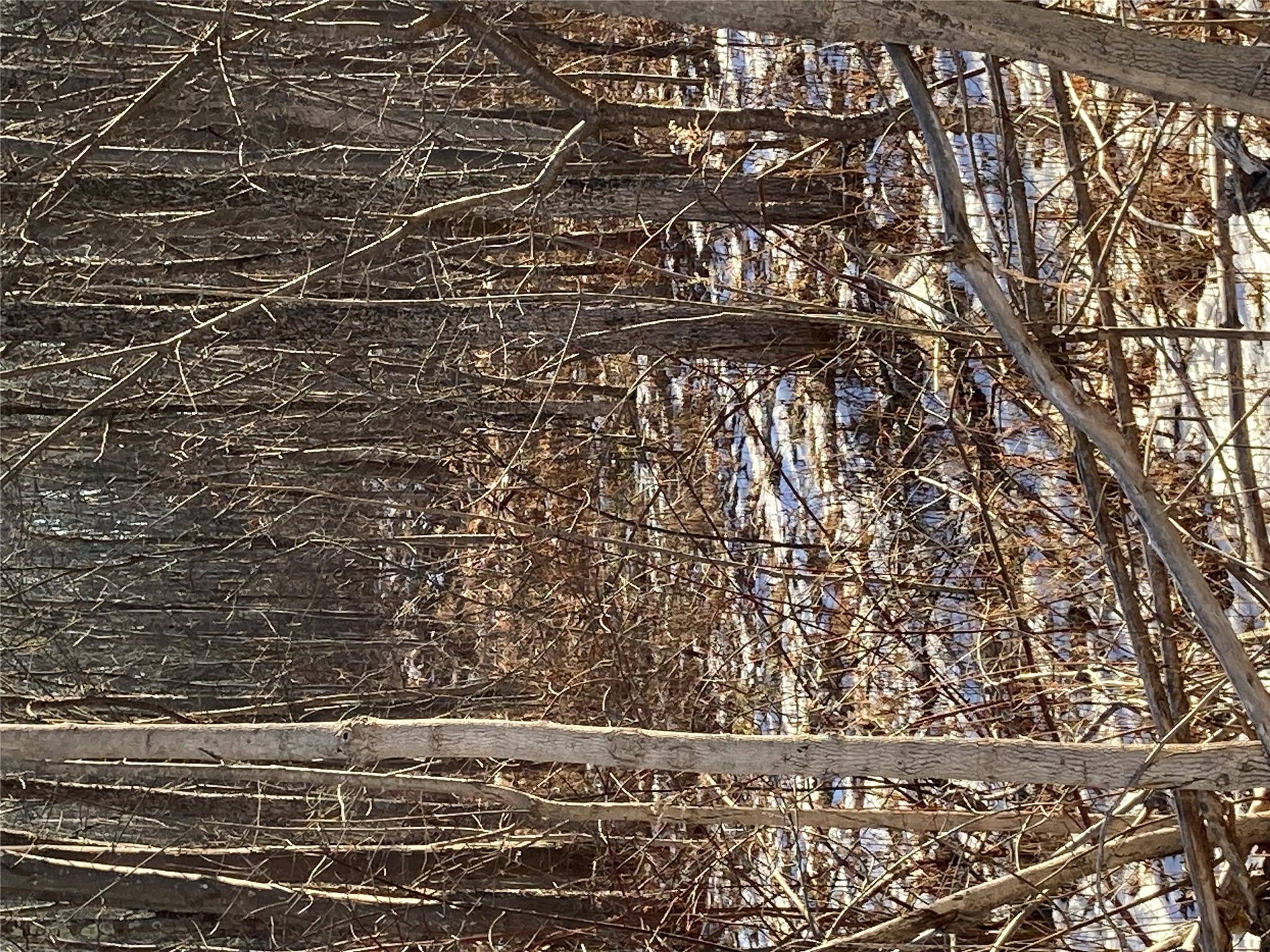 #11 photo, 2190 State Route 208, Montgomery , NY 