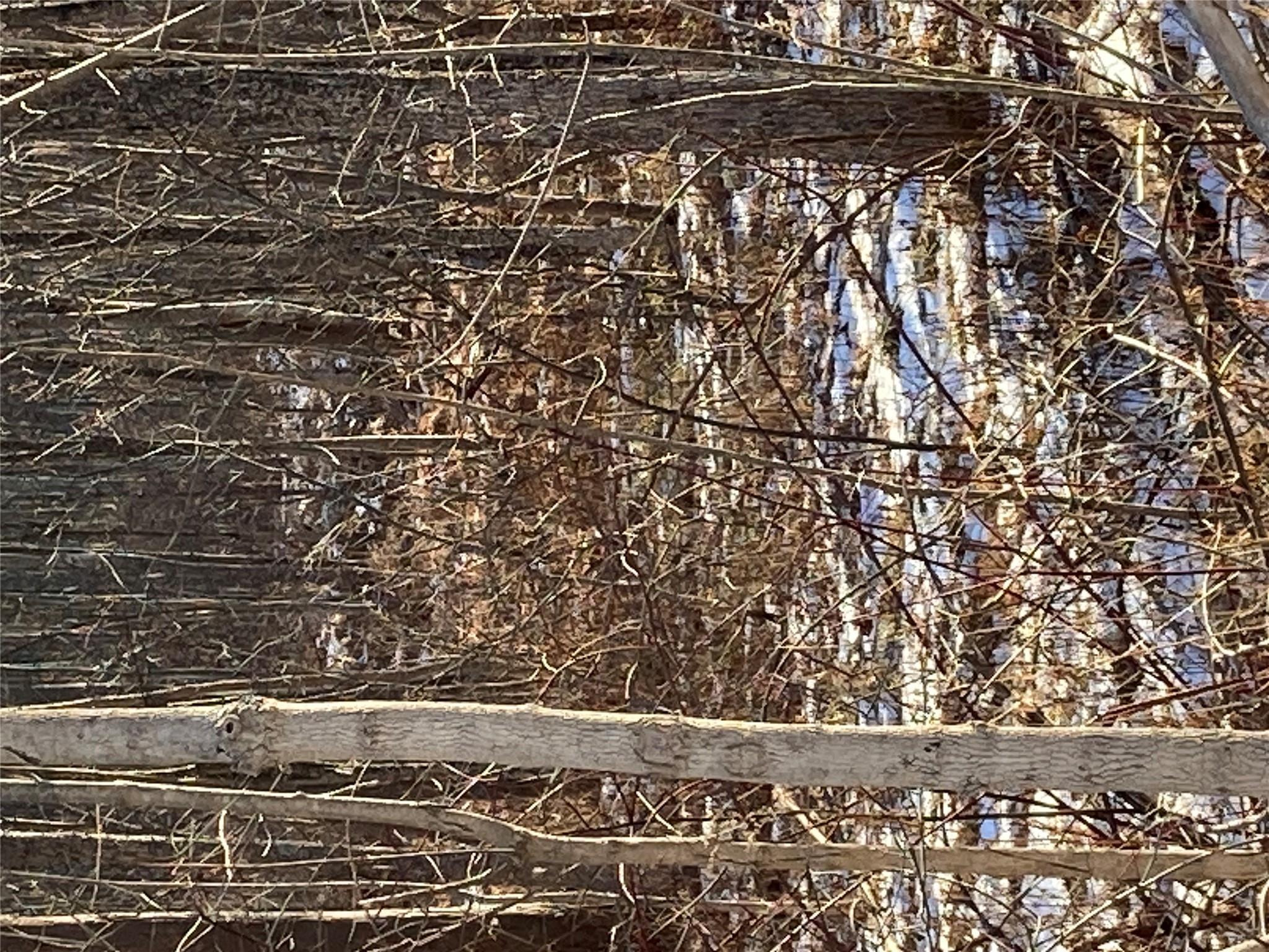 #12 photo, 2190 State Route 208, Montgomery , NY 