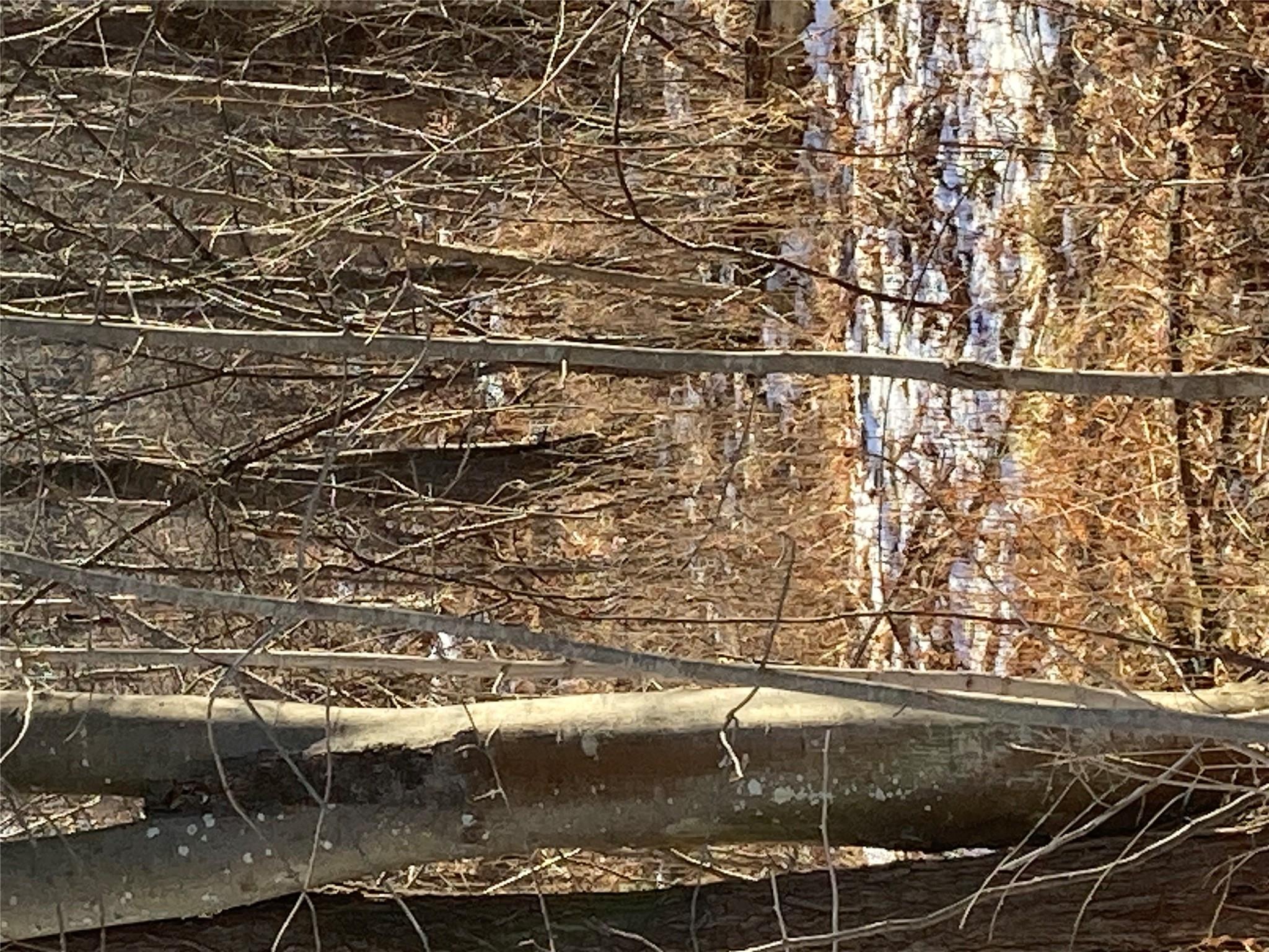 #13 photo, 2190 State Route 208, Montgomery , NY 