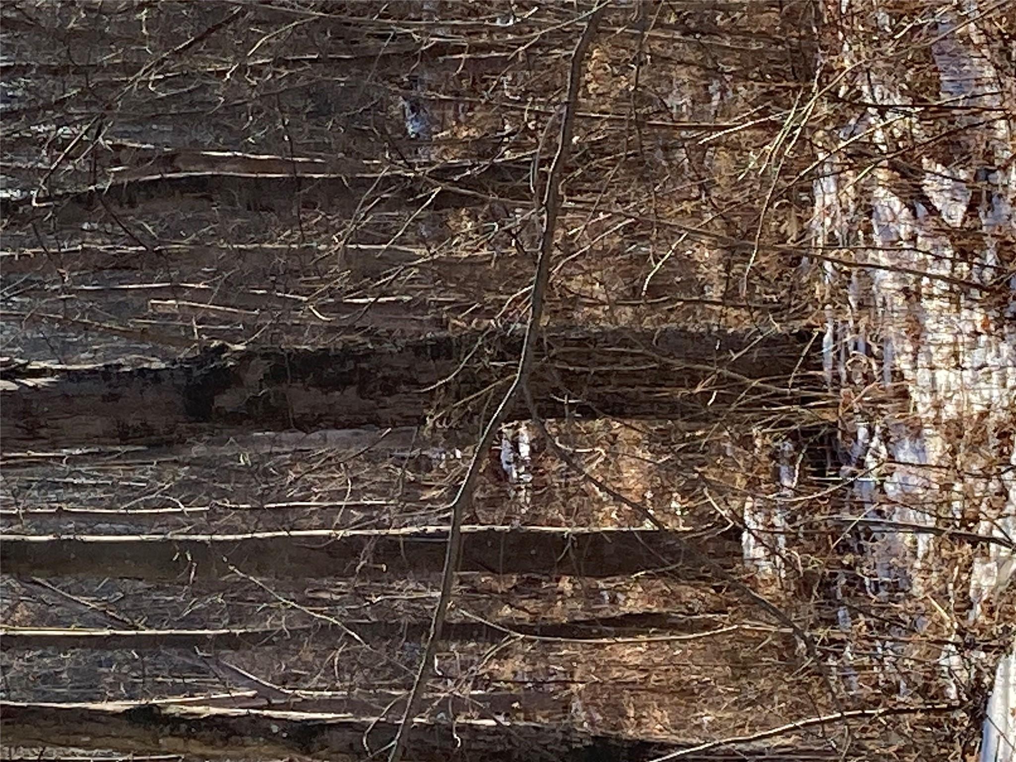 #14 photo, 2190 State Route 208, Montgomery , NY 