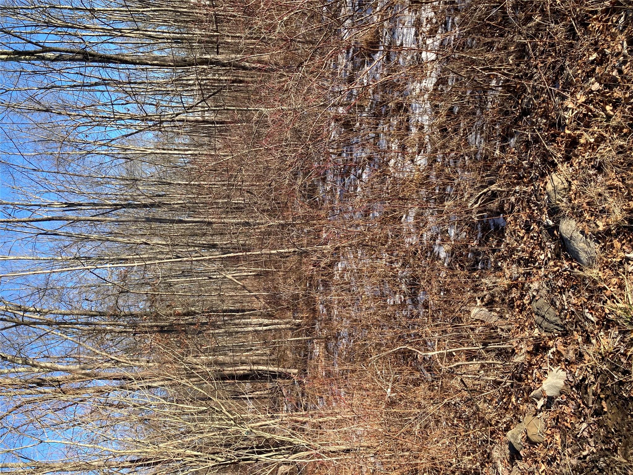 #2 photo, 2190 State Route 208, Montgomery , NY 