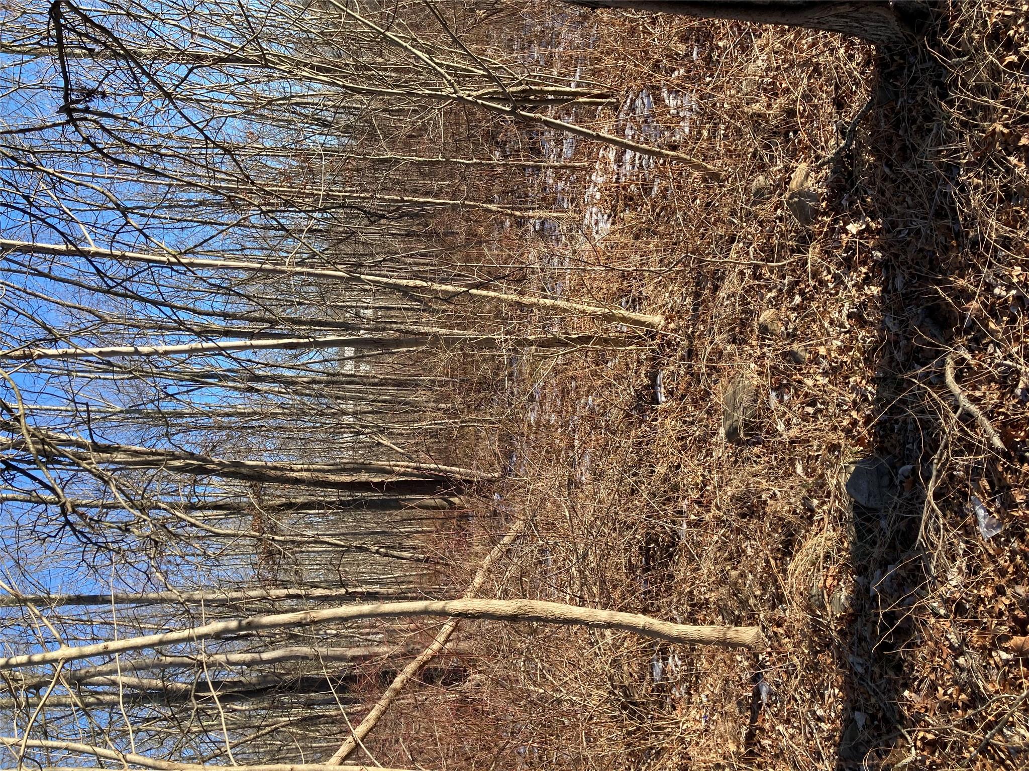 #3 photo, 2190 State Route 208, Montgomery , NY 