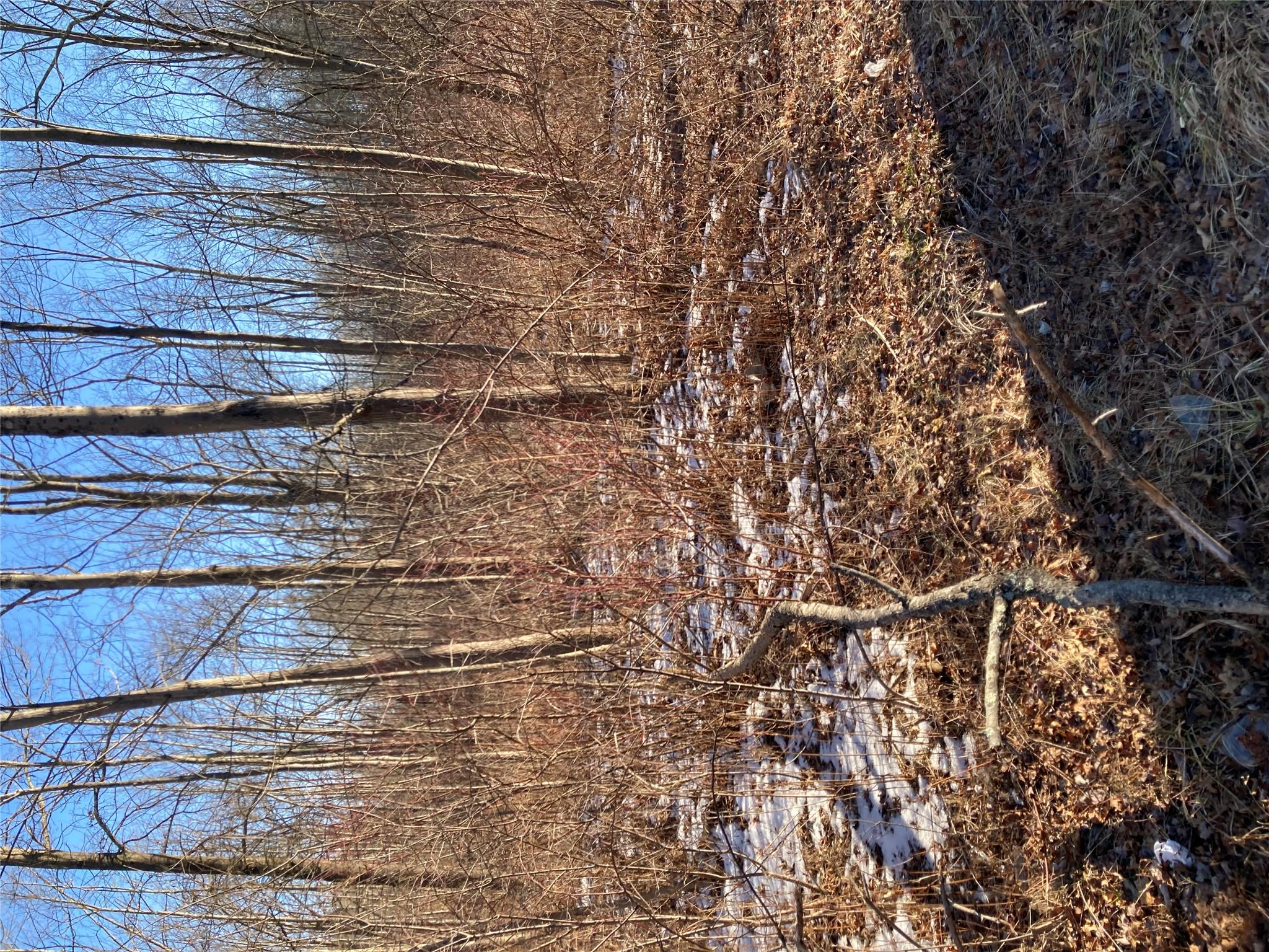 #4 photo, 2190 State Route 208, Montgomery , NY 