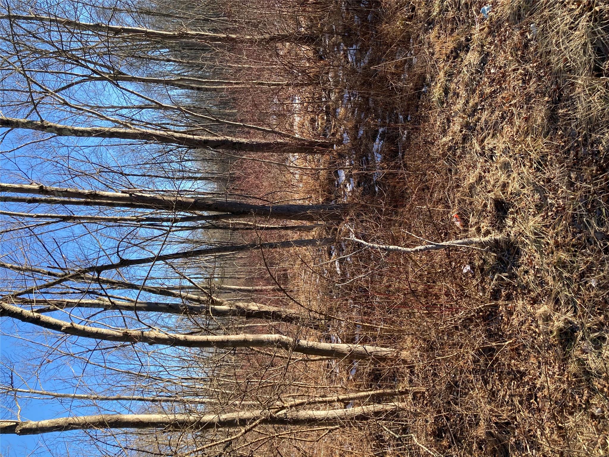 #5 photo, 2190 State Route 208, Montgomery , NY 