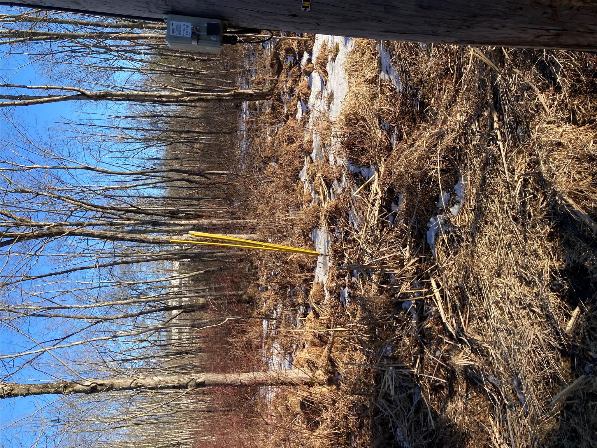 #6 photo, 2190 State Route 208, Montgomery , NY 