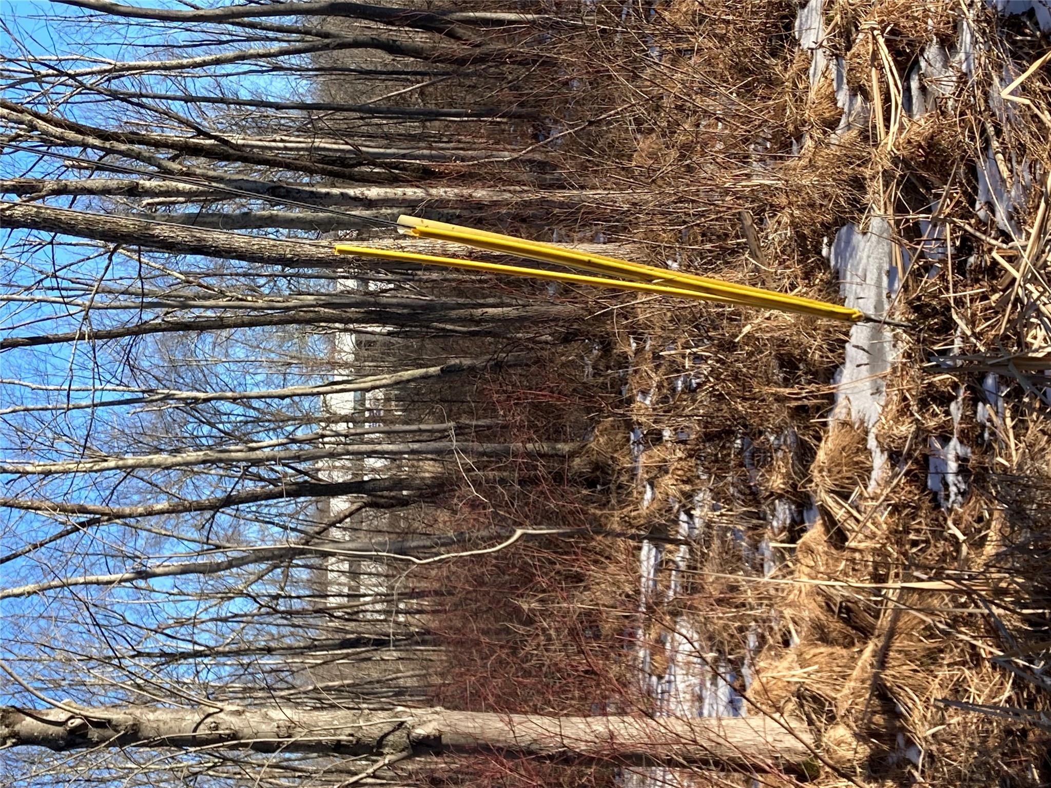 #7 photo, 2190 State Route 208, Montgomery , NY 