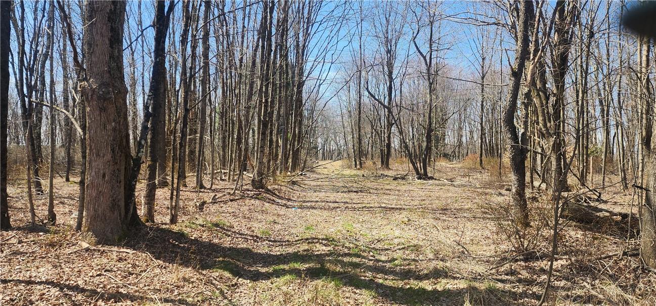 #5 photo, Liberty Street, Monticello , NY 12701