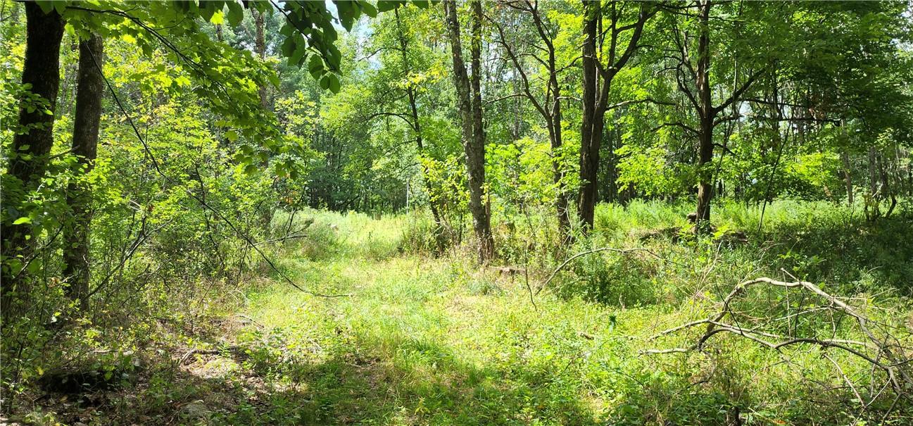 #7 photo, Liberty Street, Monticello , NY 12701