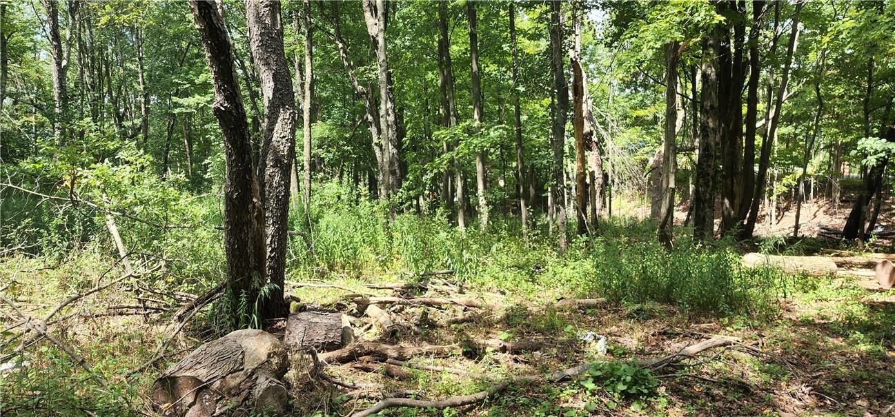 #8 photo, Liberty Street, Monticello , NY 12701