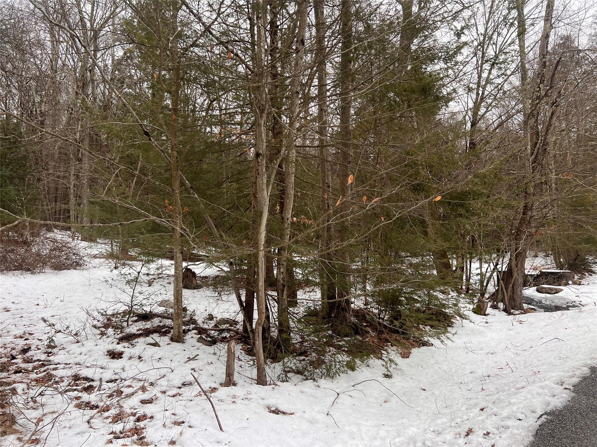 #2 photo, Adams Road, 纽约州 Rock Hill , NY 12775