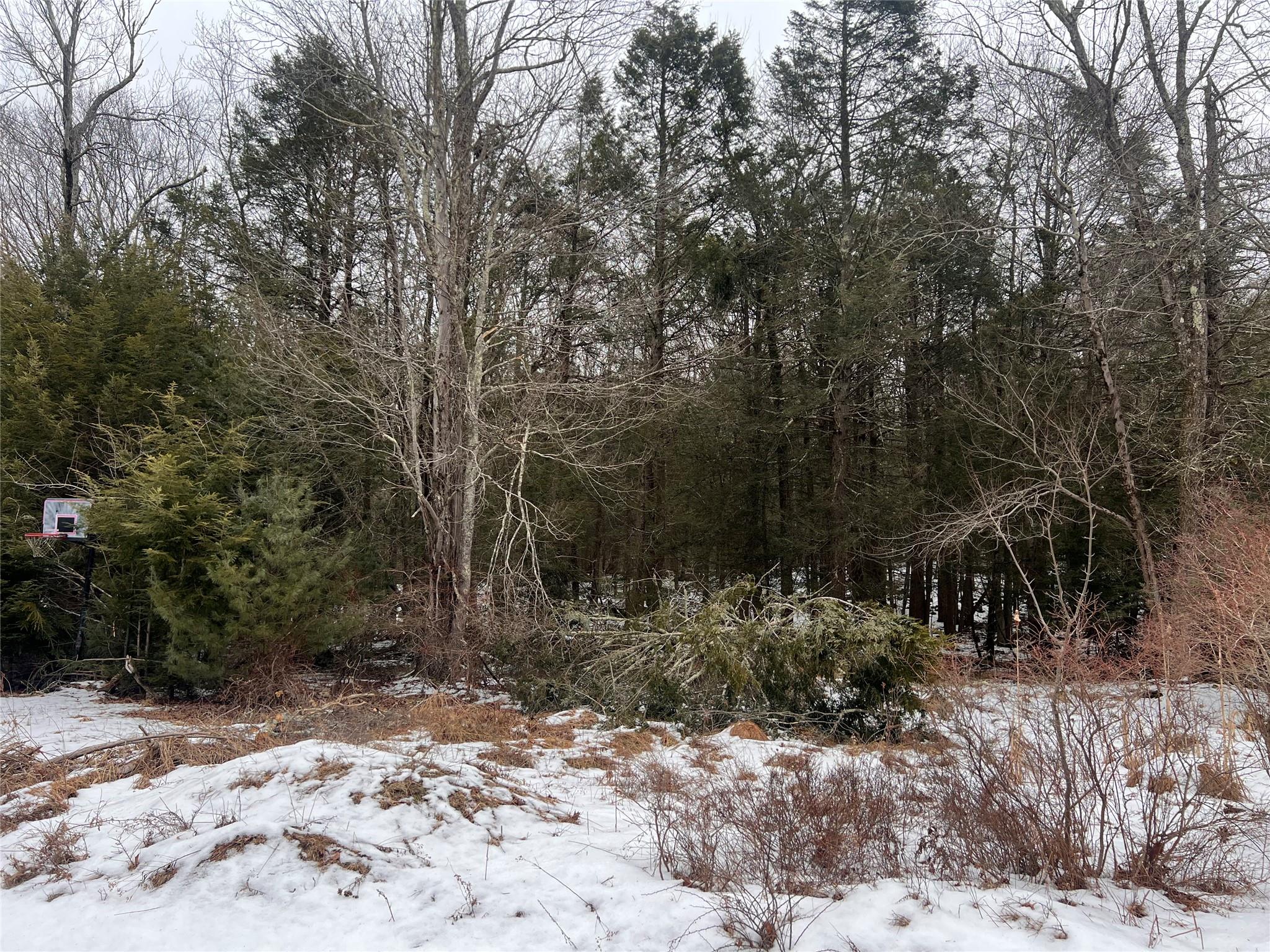 #3 photo, Adams Road, 纽约州 Rock Hill , NY 12775