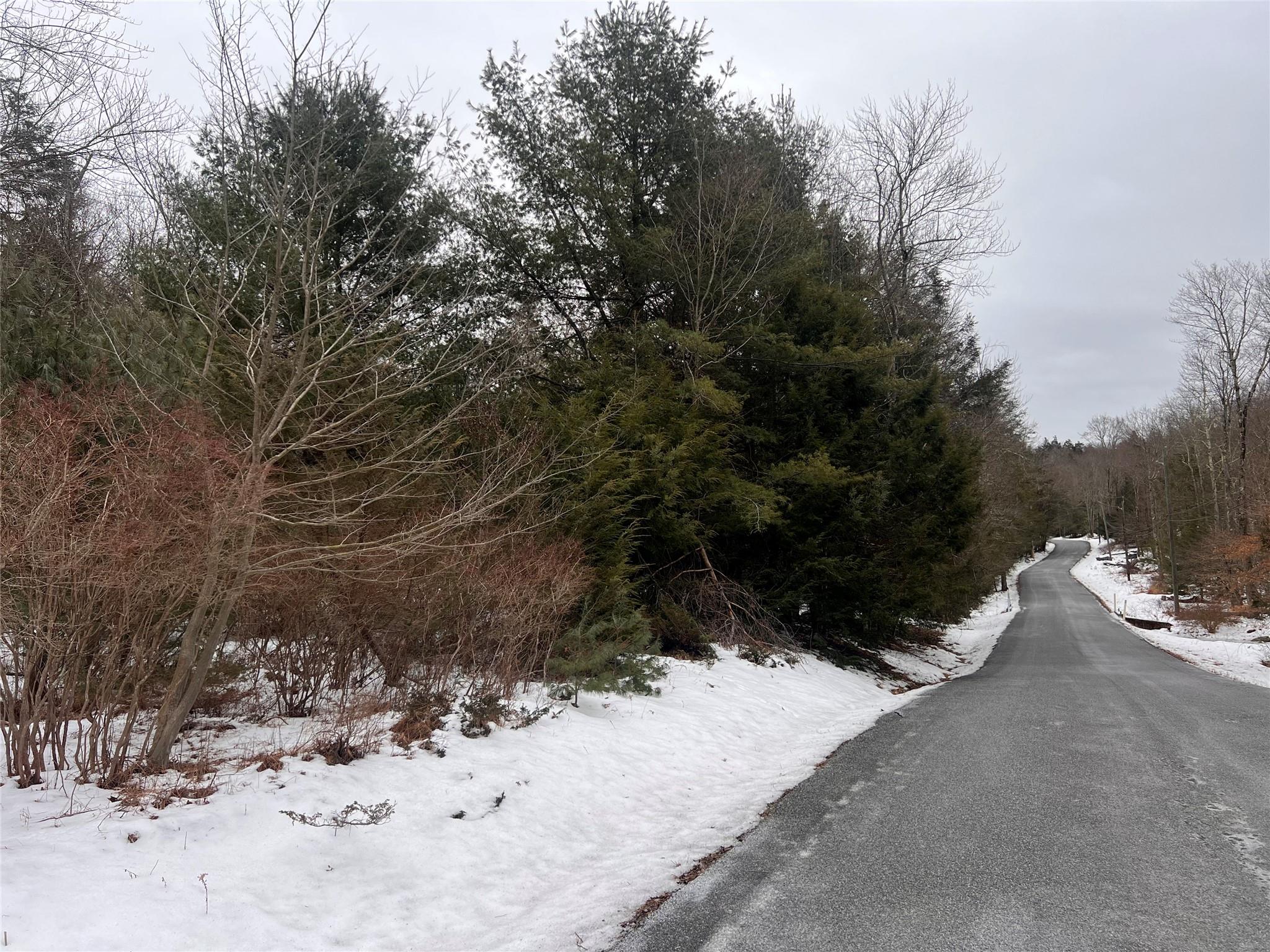 #4 photo, Adams Road, 纽约州 Rock Hill , NY 12775