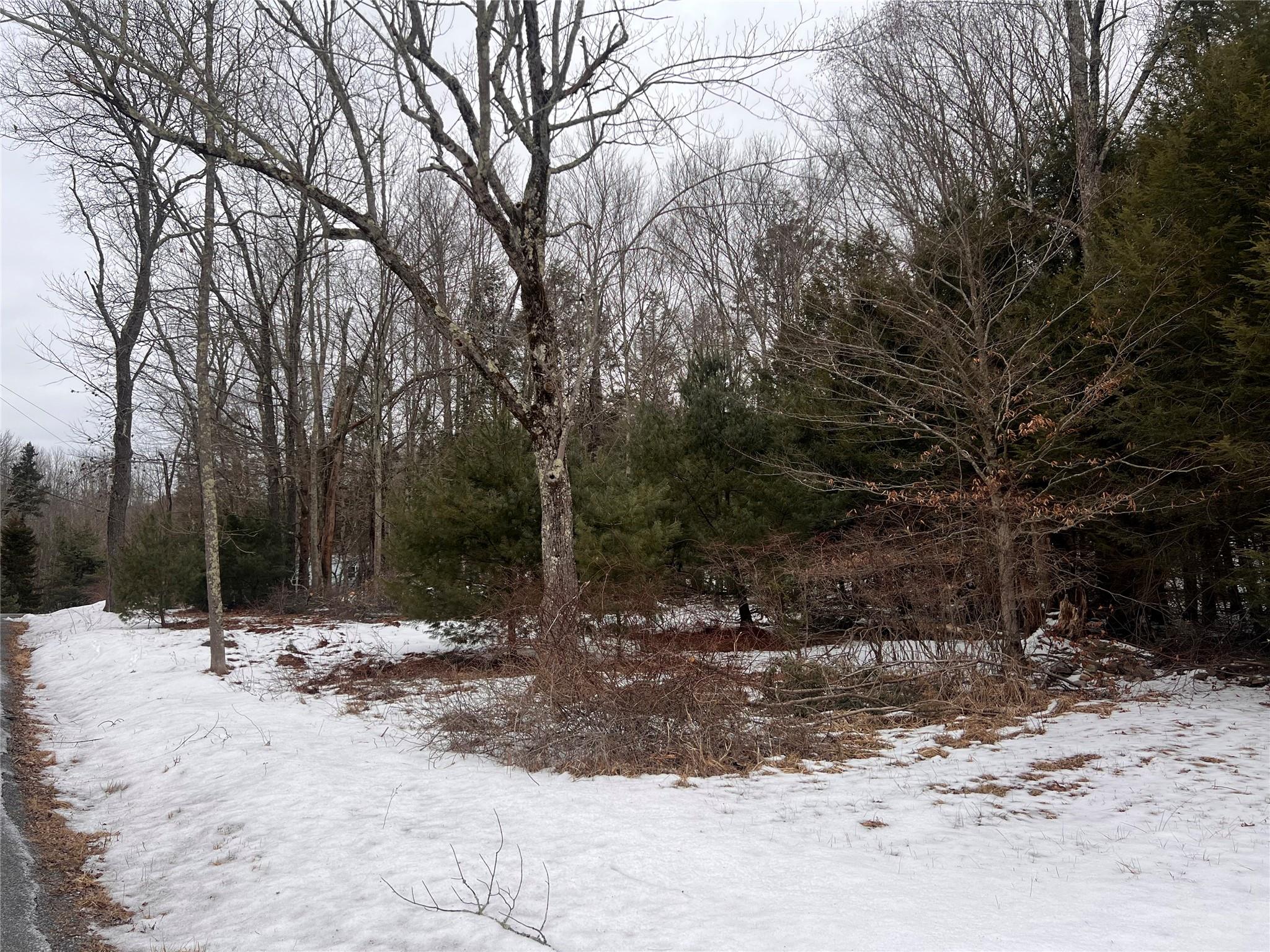 #5 photo, Adams Road, 纽约州 Rock Hill , NY 12775