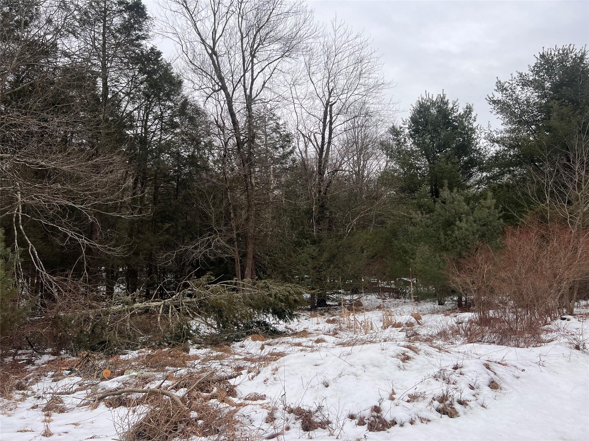 #6 photo, Adams Road, 纽约州 Rock Hill , NY 12775