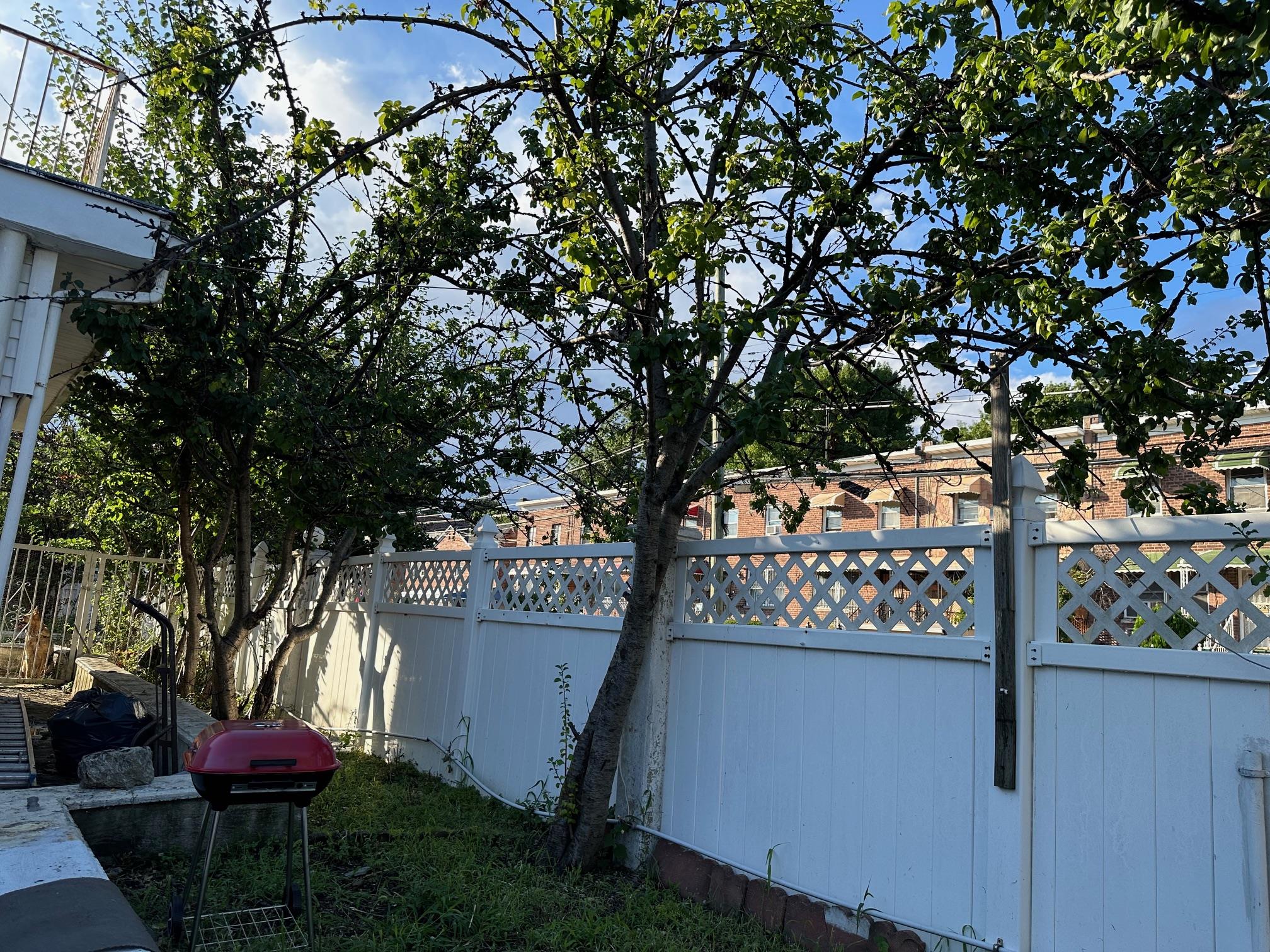 #18 photo, 1817 Schieffelin Avenue, ブロンクス区 Bronx , NY 10466