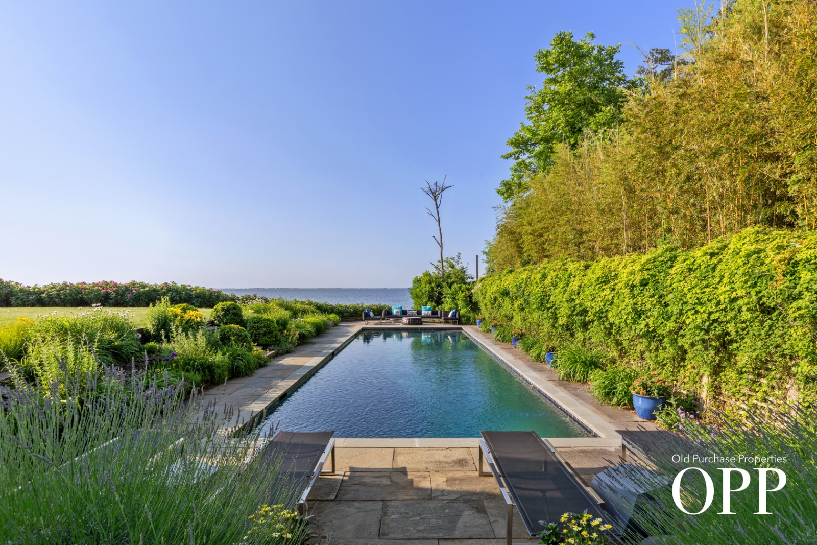 #7 photo, 14  Peat hole lane, サフォーク郡 Bellport village , NY 11713