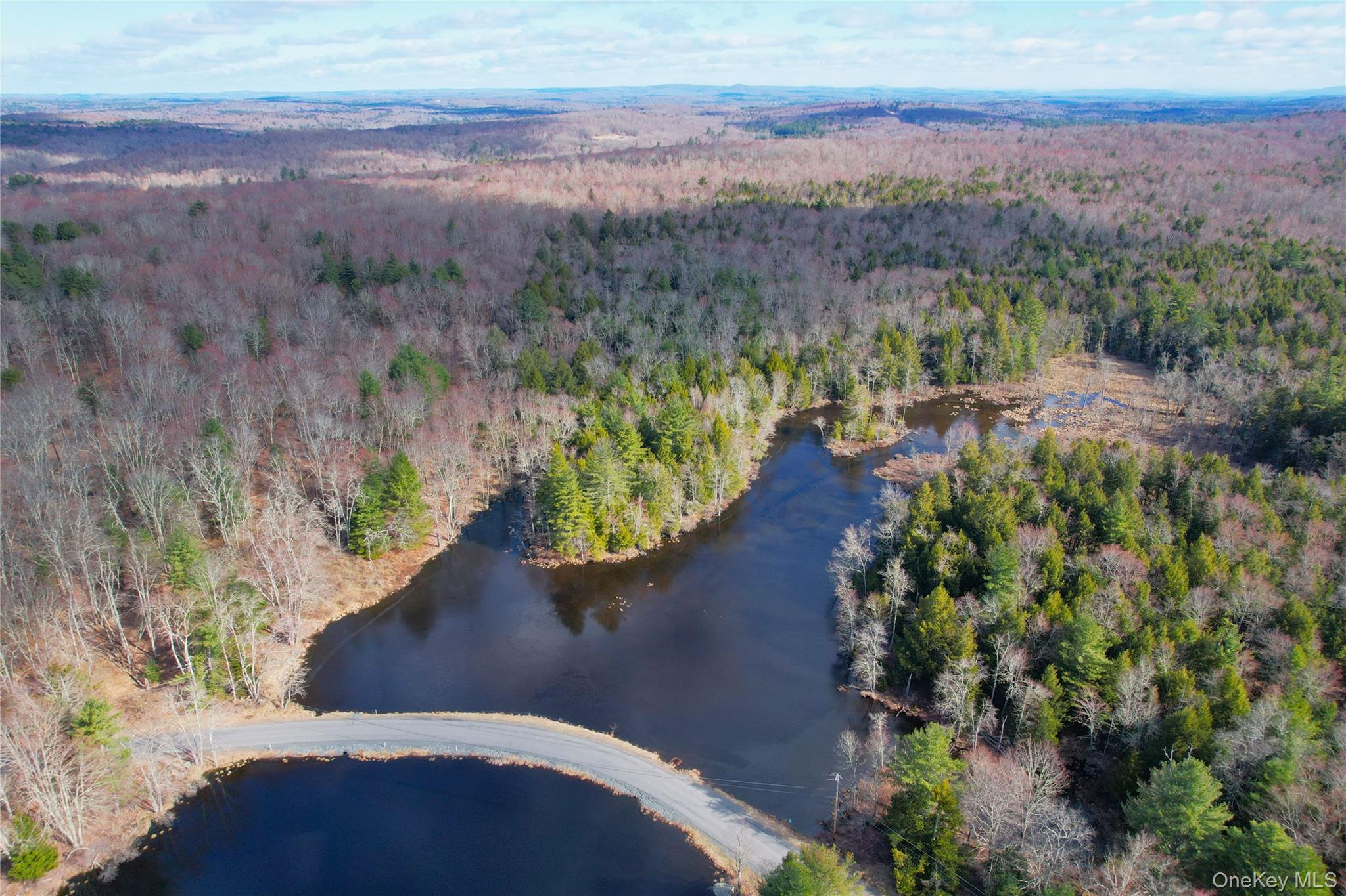 #3 photo, 118 Hilltop Road, Monticello , NY 12701