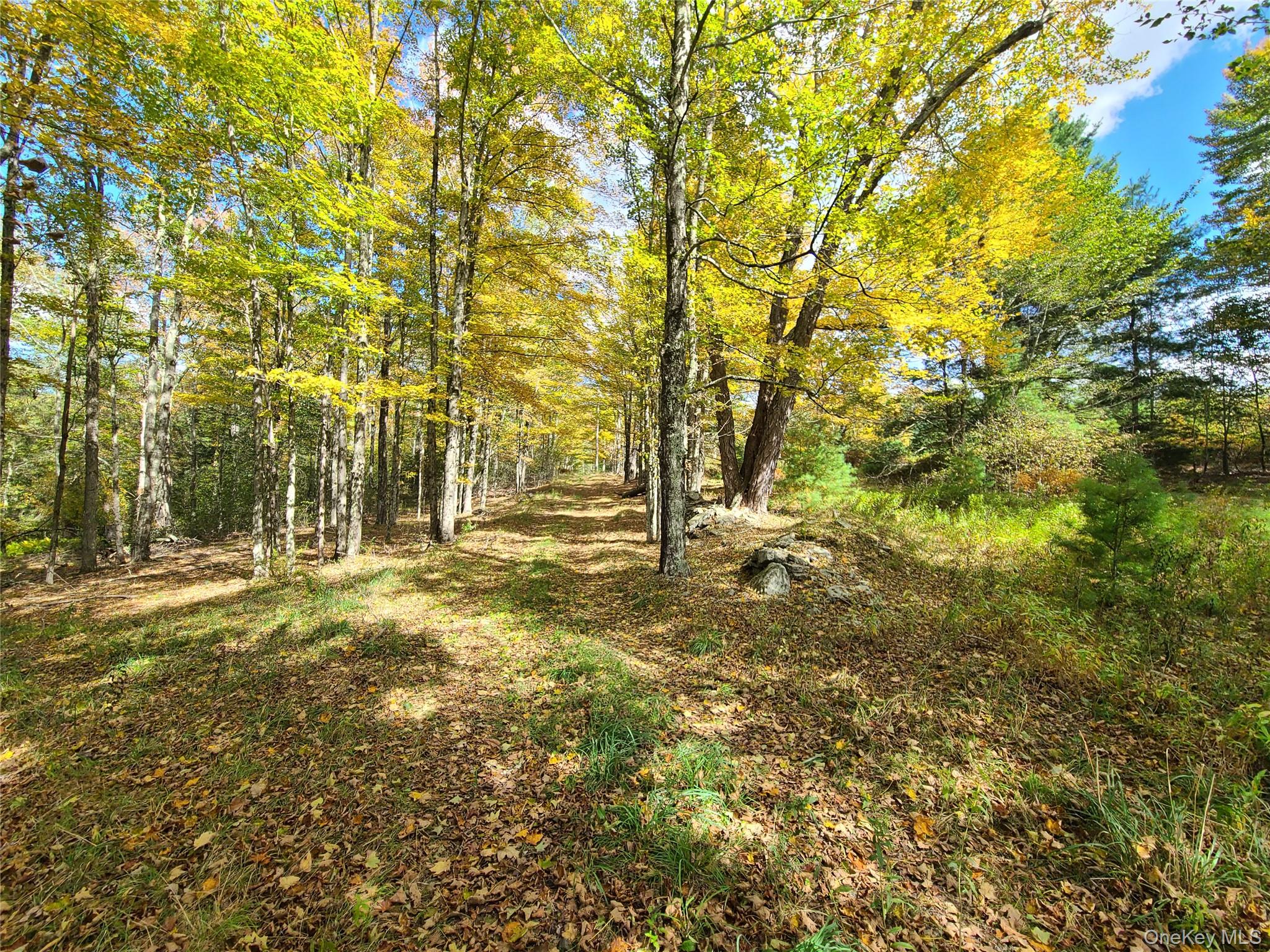 #7 photo, 118 Hilltop Road, Monticello , NY 12701