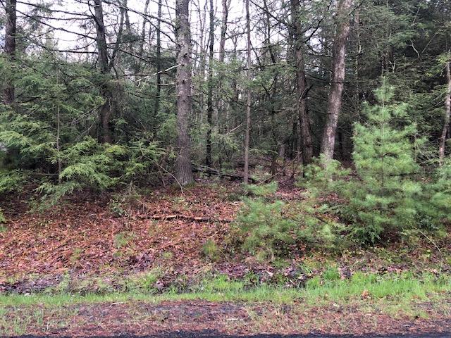 #2 photo, Crawford Road, Barryville , NY 12528