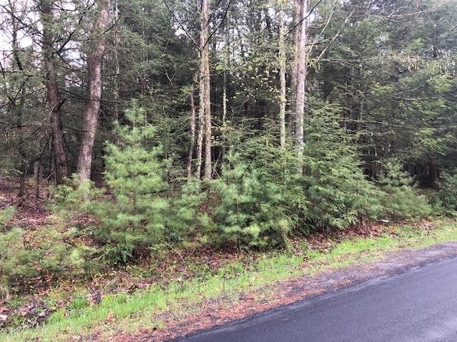 #3 photo, Crawford Road, Barryville , NY 12528