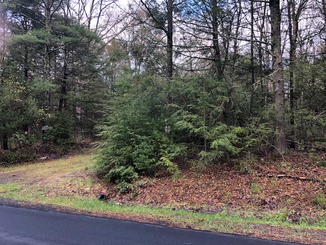 #4 photo, Crawford Road, Barryville , NY 12528