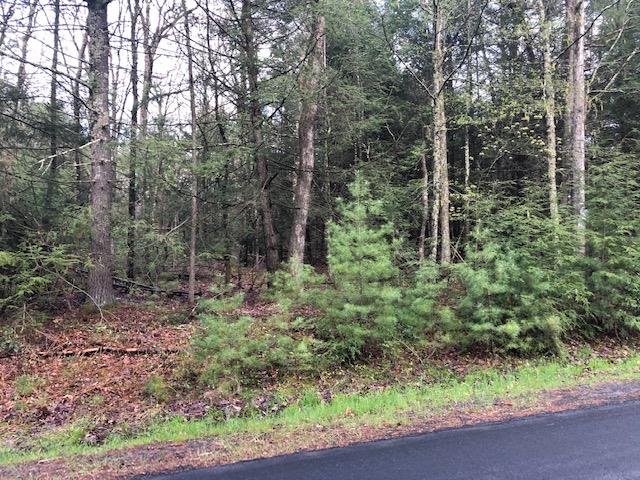 #5 photo, Crawford Road, Barryville , NY 12528